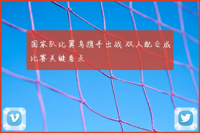 国家队比翼鸟携手出战 双人配合成比赛关键看点