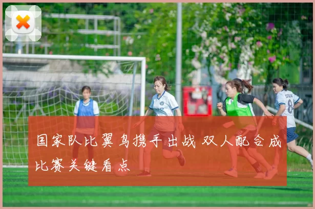 国家队比翼鸟携手出战 双人配合成比赛关键看点