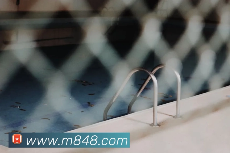 开云手机官方版登录入口 - 开云(中国)平台生态图